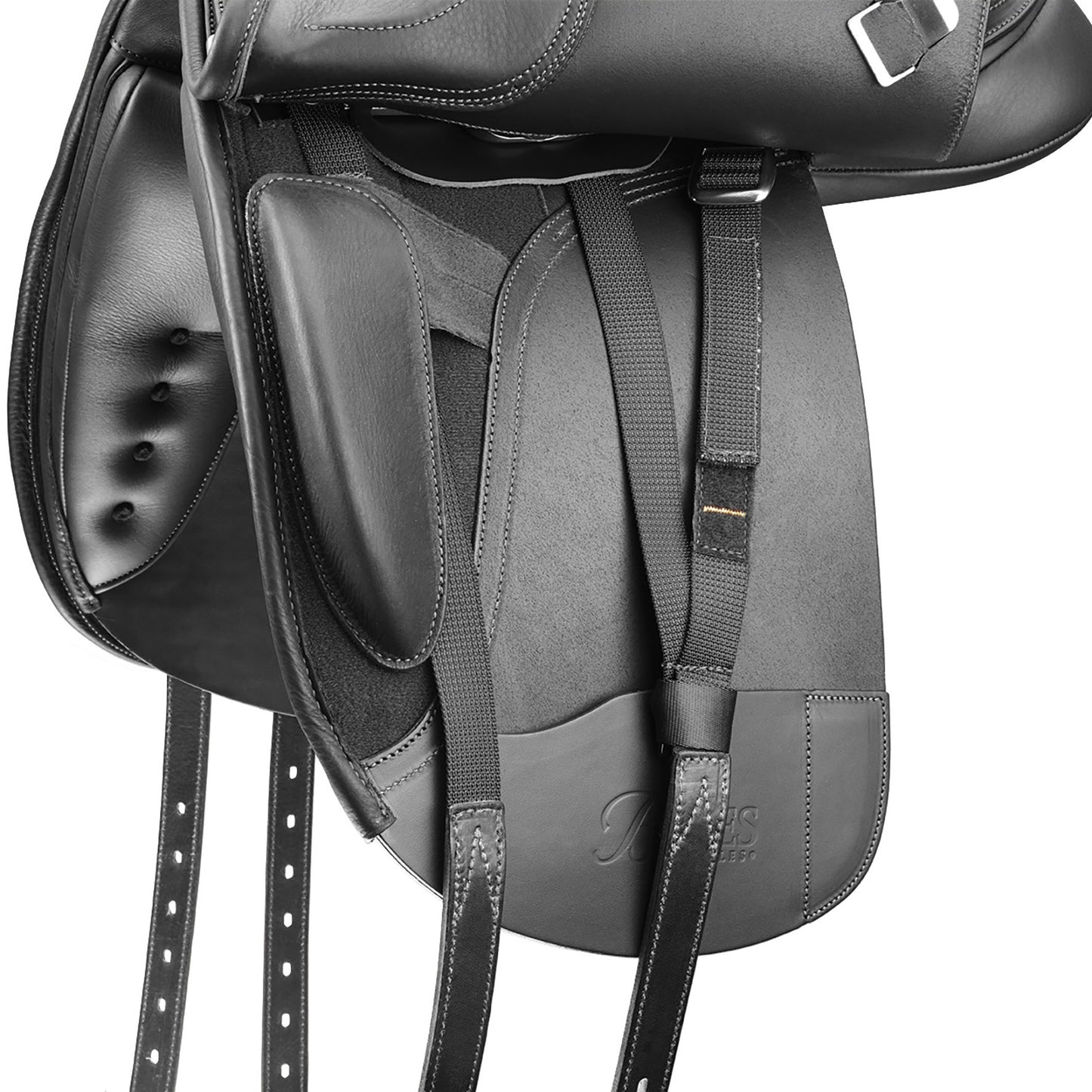 Bates Dressage, myös Wide ja Pony