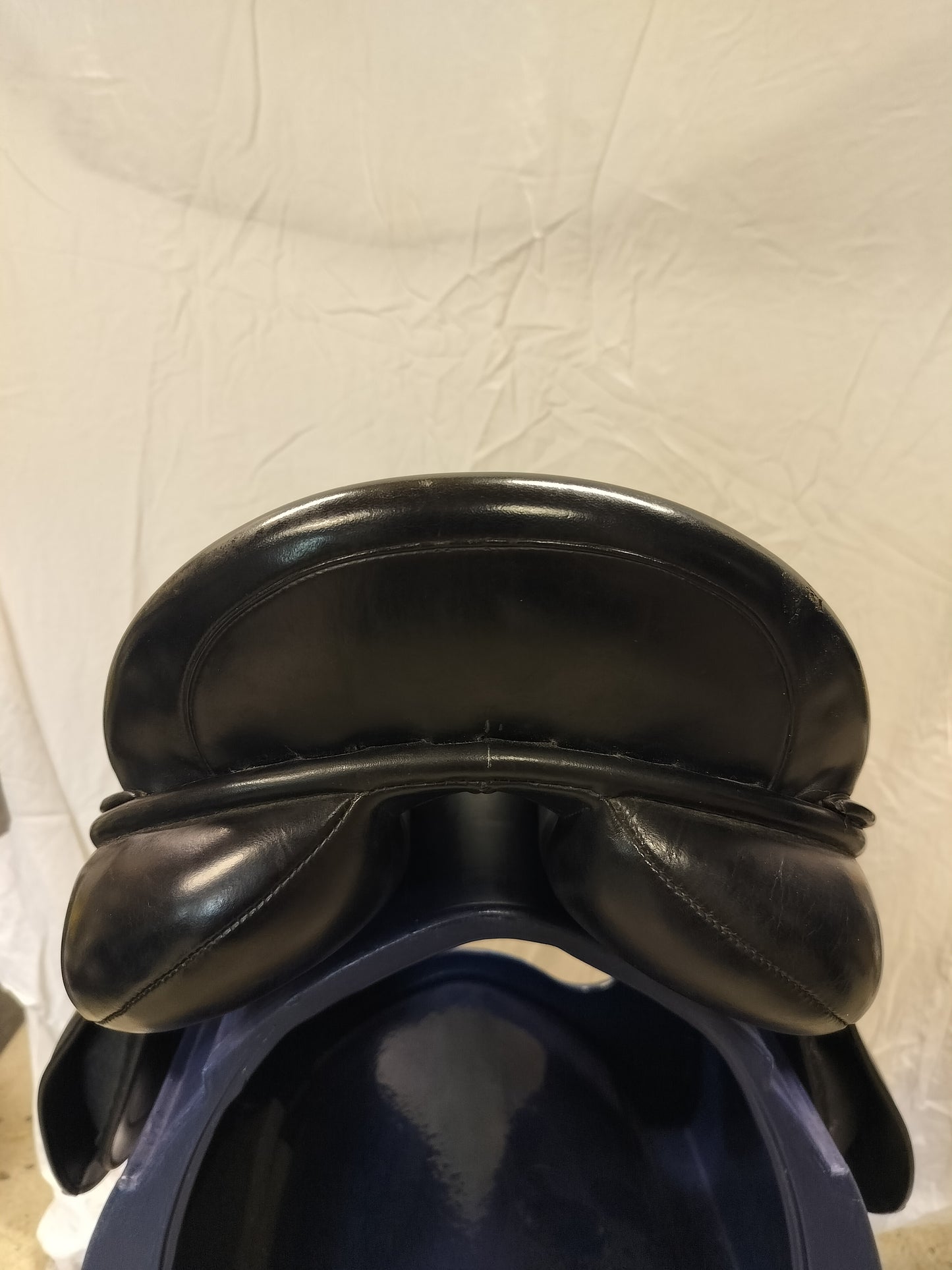Prestige Roma Dressage 17"