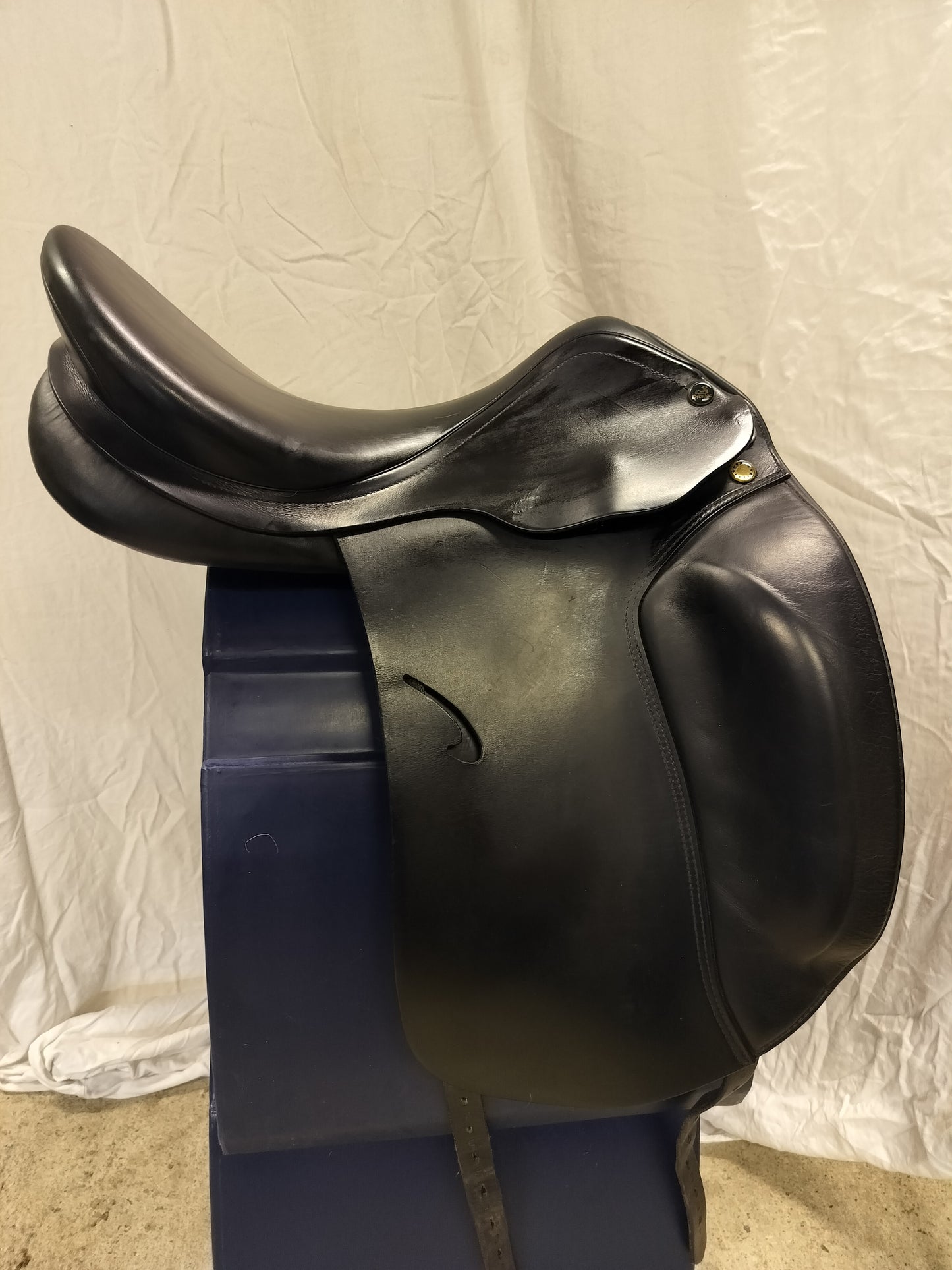 Prestige Roma Dressage 17"