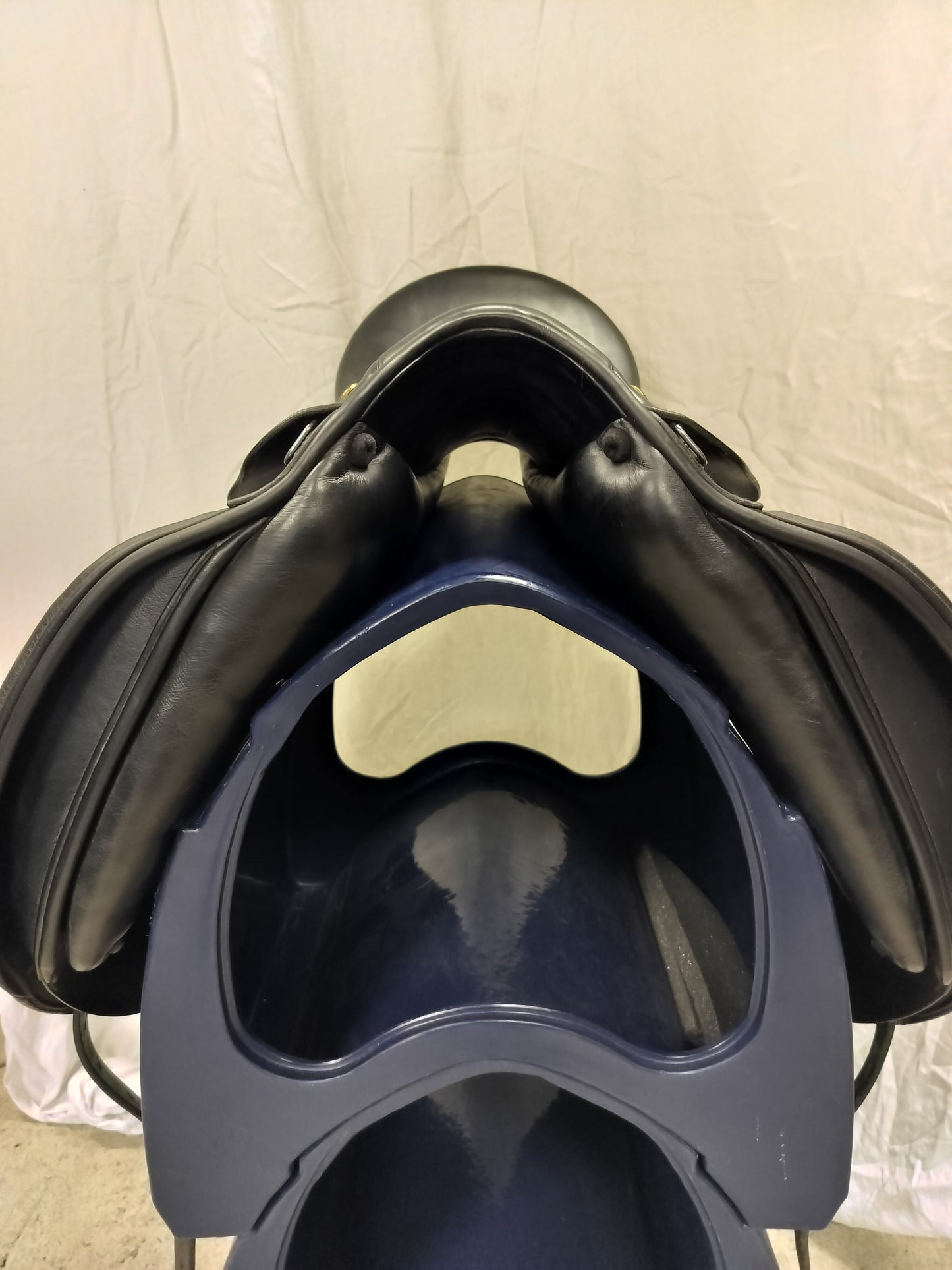 Prestige Roma Dressage 17"