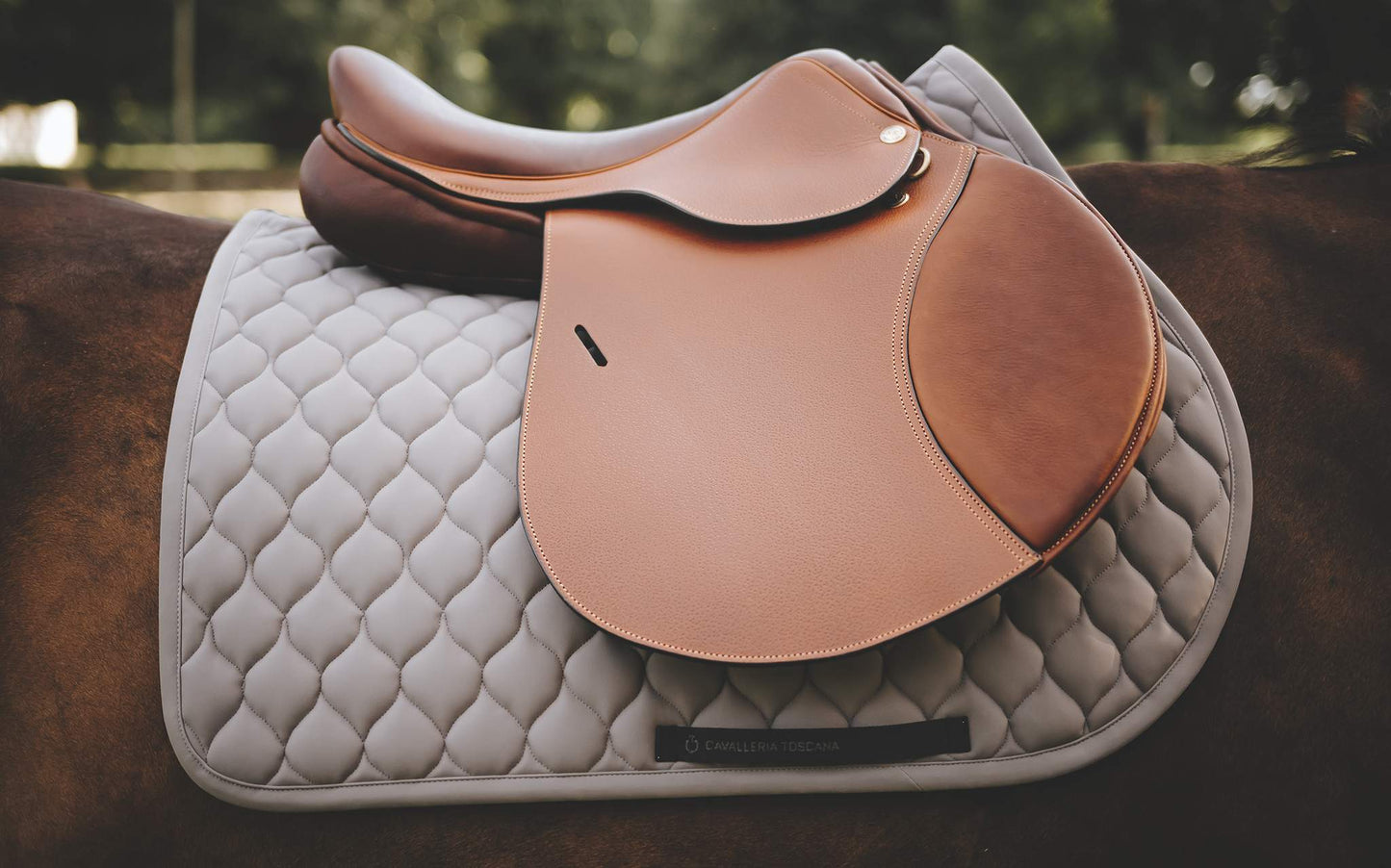 Kemnevall Jumping Al In