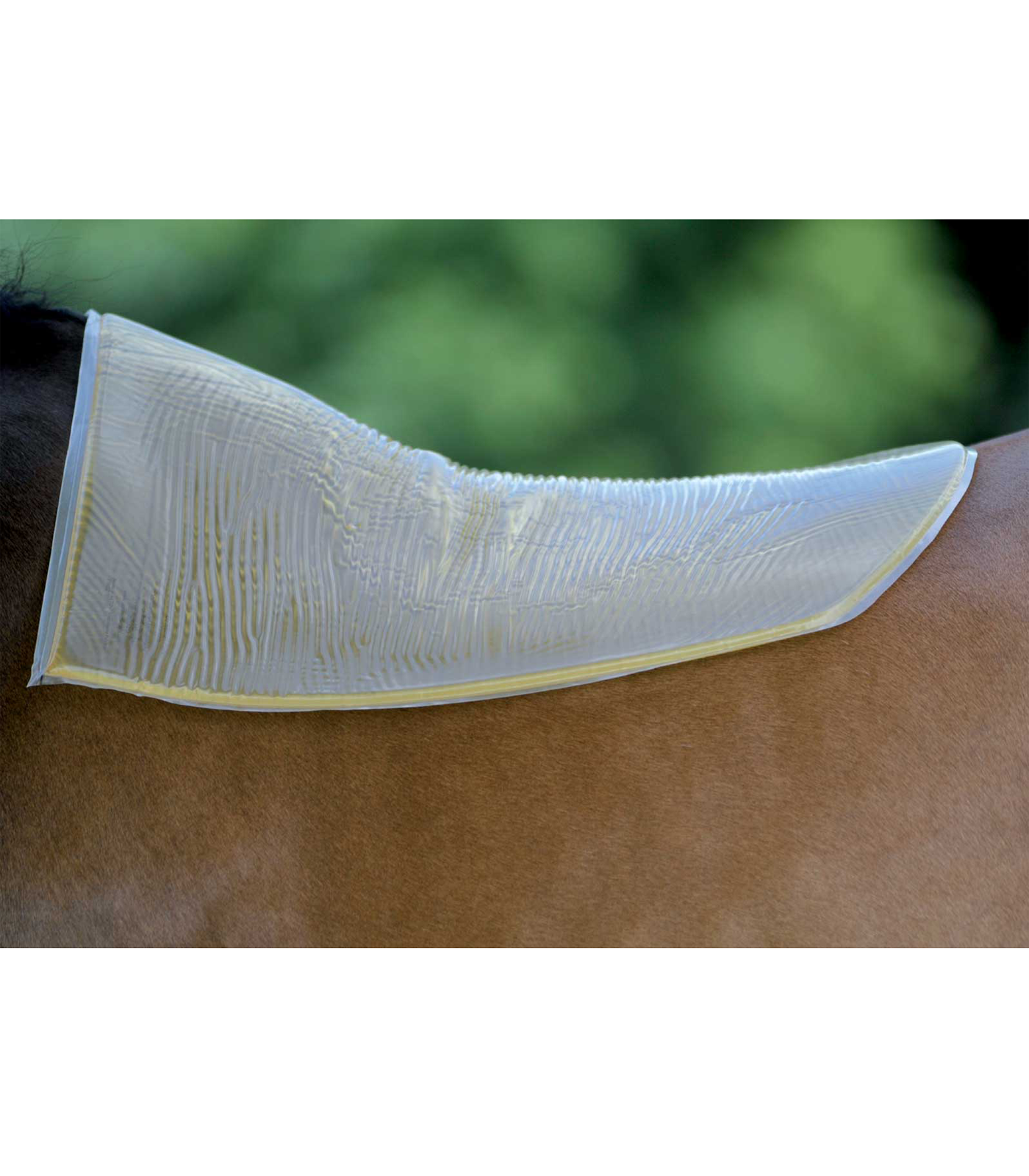 Akton Back Pad