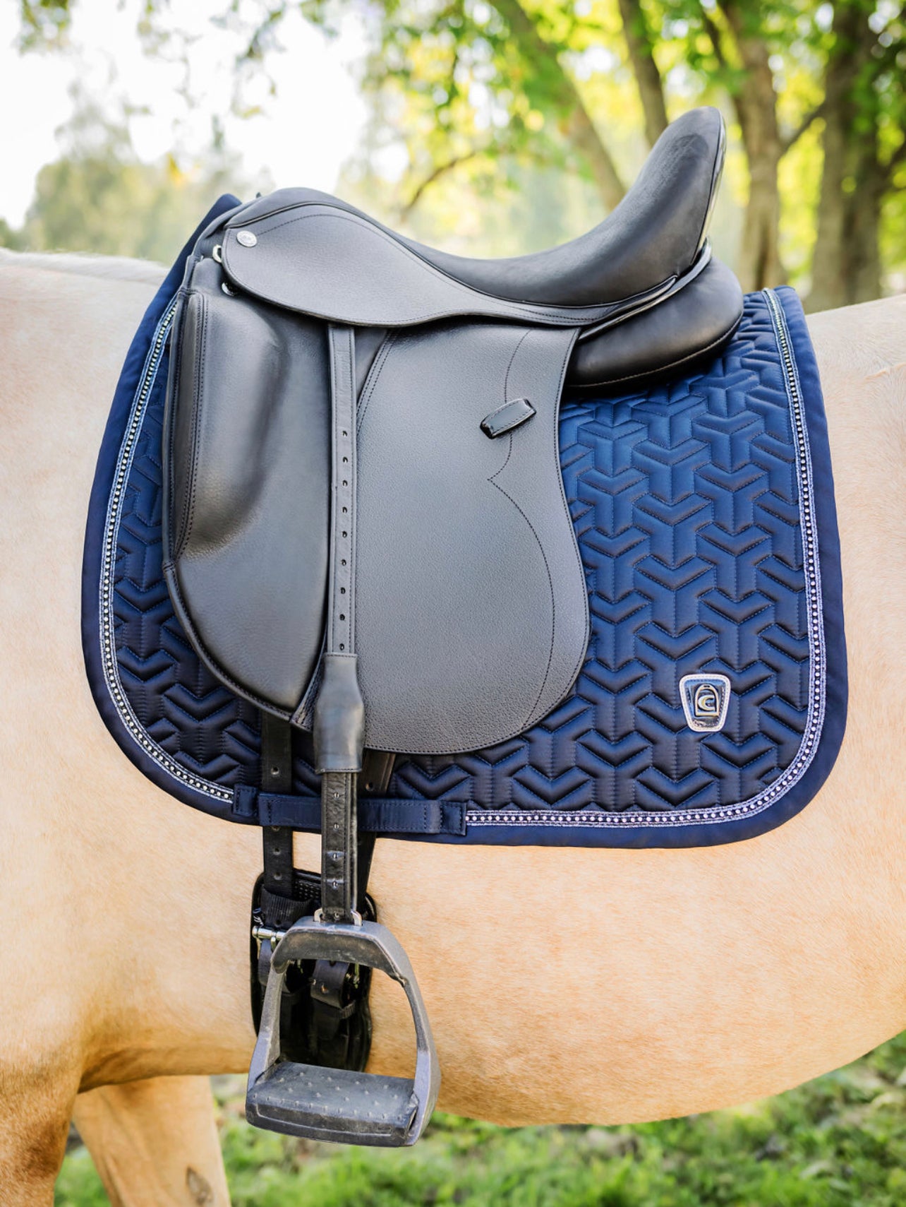 Kemnevall DR Isaac 17"