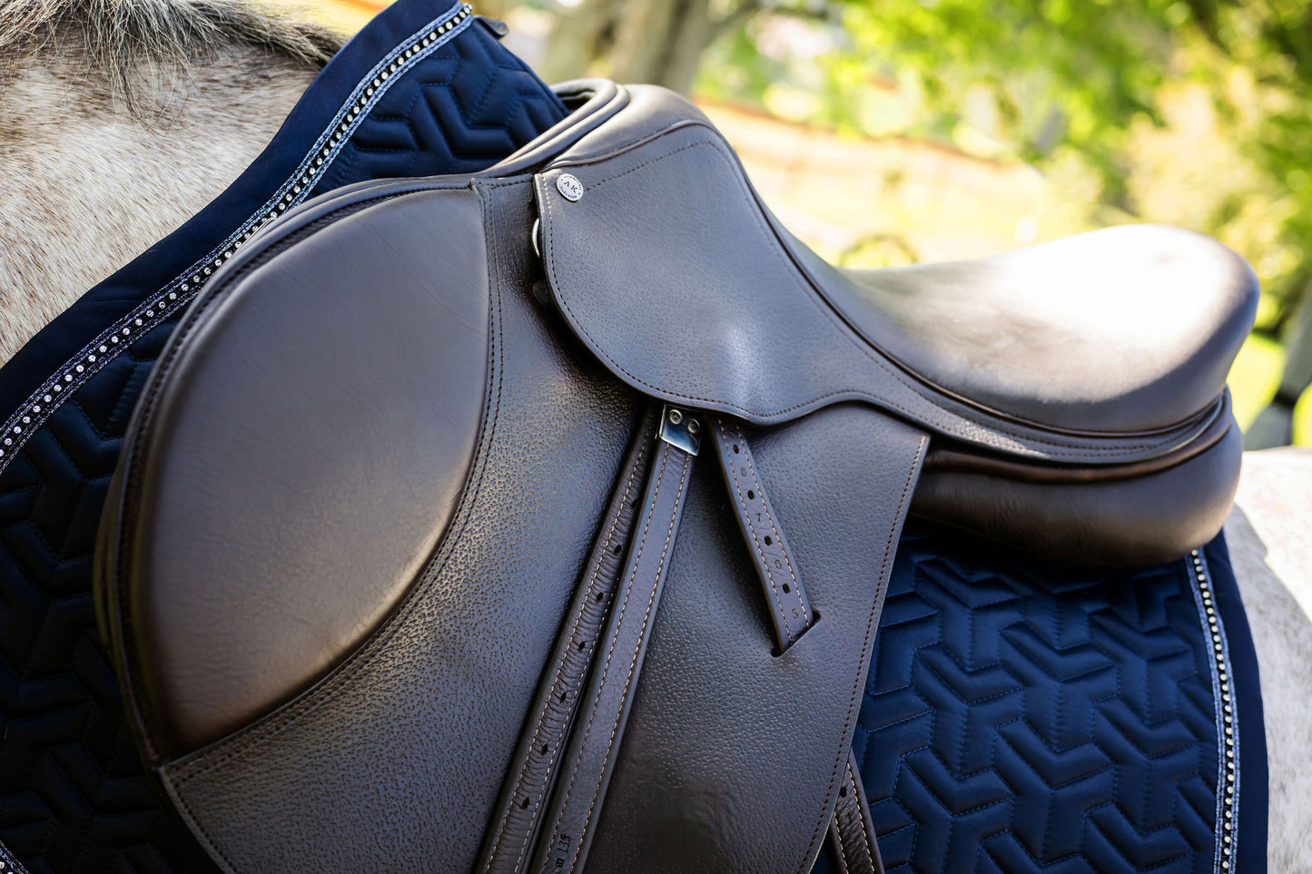 Kemnevall Jumping Al In