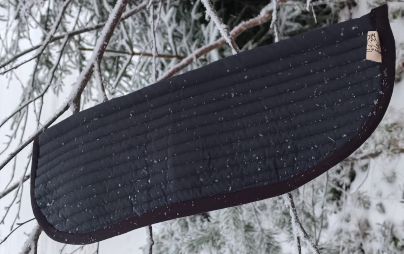 Onkamo LiftPad